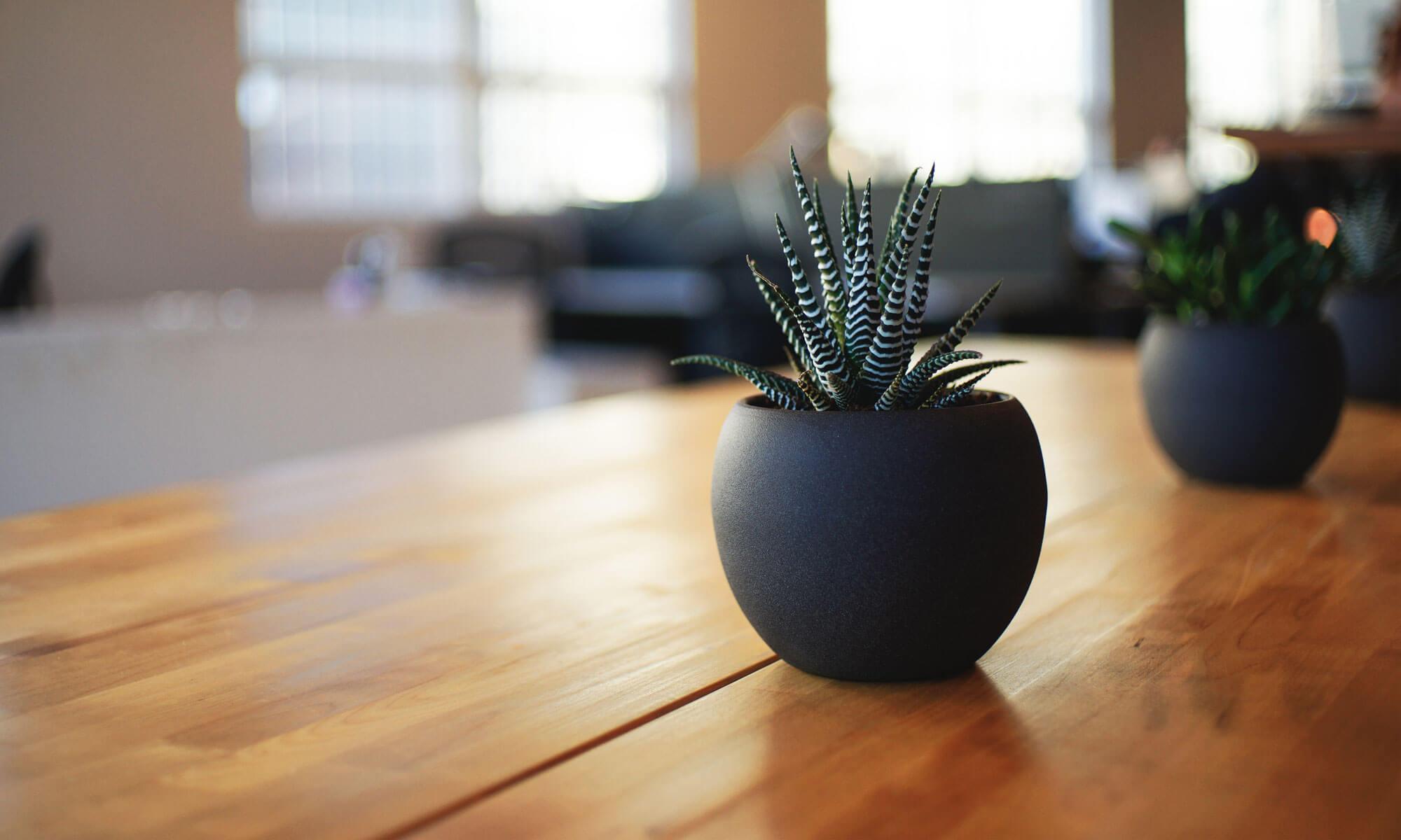 Sprintworks Interactive